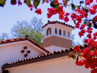 Spanish Revival style fireplaces and chimney images
